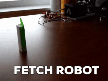 Making a Robot Play Fetch