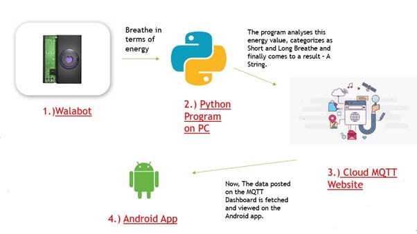 Block Diagram of the System