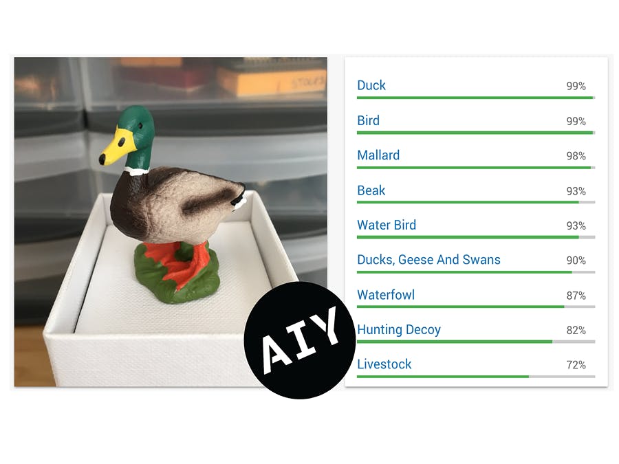 Add Vision to the AIY Voice Kit