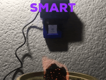 Smart Gases Detector