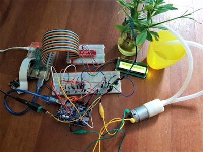 Smart Garden - Raspberry Pi & Arduino