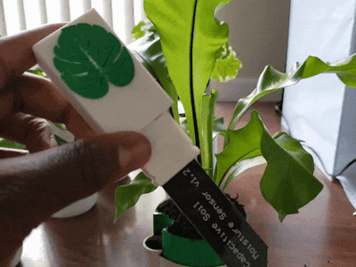 In-Plants - Plant Soil Monitor Powered by Particle Mesh