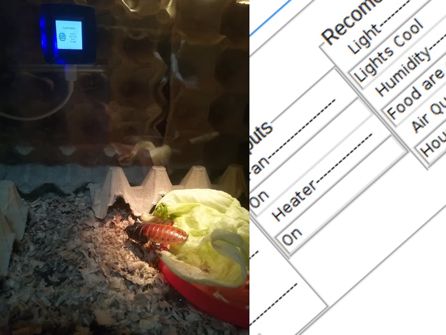 Smart Home for a Madagascar Hissing Cockroach