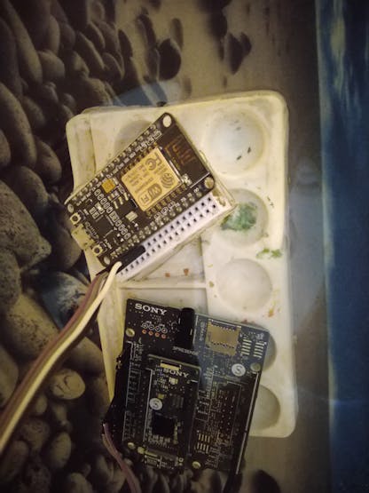 The boards