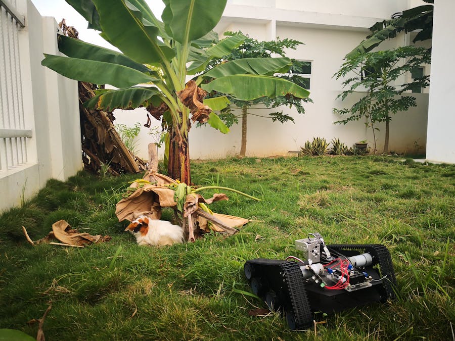 Pet Nanny Garden Edition