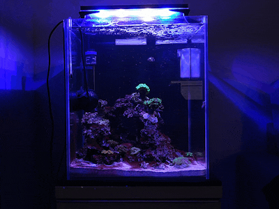 Aquarium LED WiFi Controller