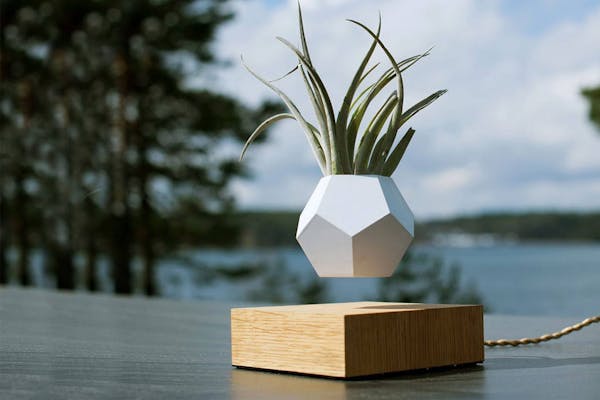 DIY Levitating Plant! - Hackster.io