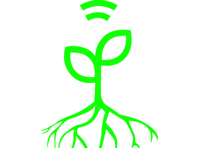 Connected Mangroves (Initial Phase)
