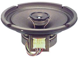 Ceiling Speaker, Two-Way