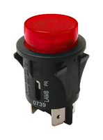 Industrial Pushbutton Switch, Off-On