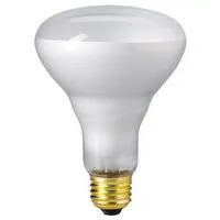 LED Light Bulb, E26 / MES