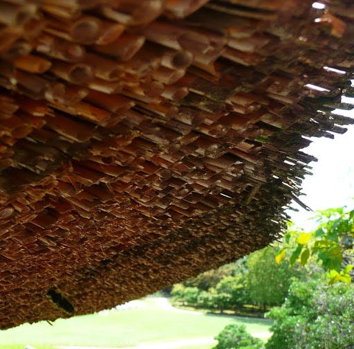 Rafael Pazos Rodriguez