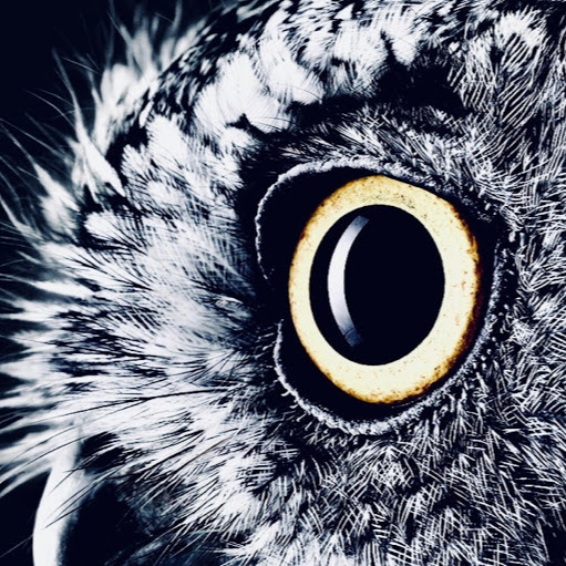 Alessandro Giannetti