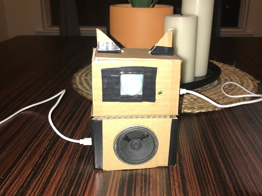 Cat Motion Detection Device