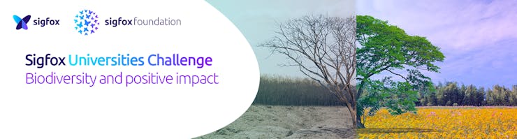 foundation banner - theme 1.jpg