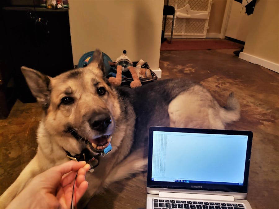 Using Arduino for Citizen Science!