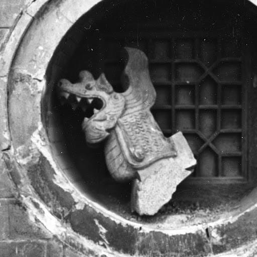 ʕ•ᴥ•ʔ Carmona