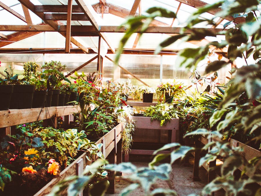 Plant Monitoring Using Sigfox