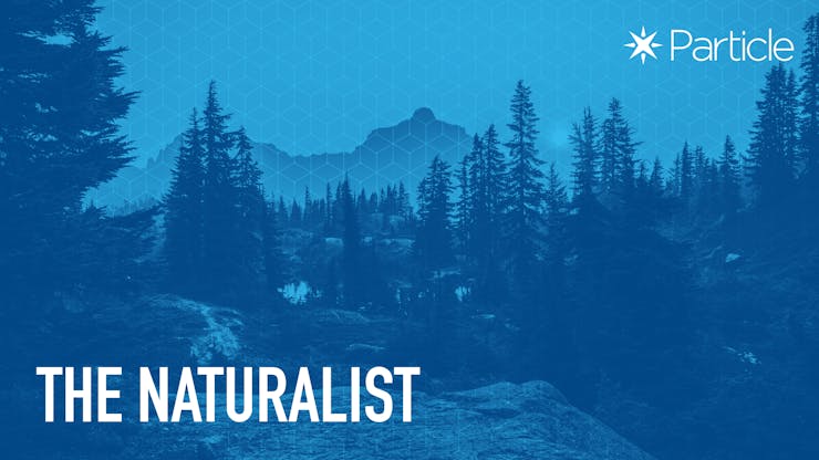 naturalist.jpg