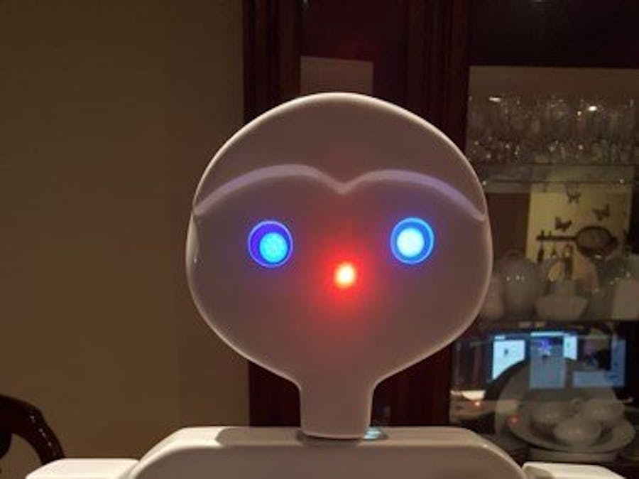 The Robot MARKUS for Your Business