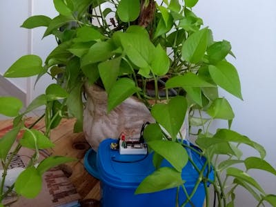 Simple Irrigation to Plants