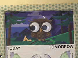 Owl Barometer