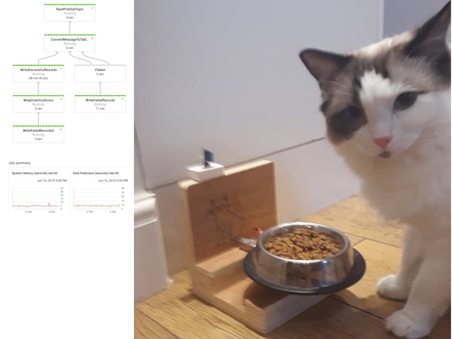 IoT Cat Food Scale Streaming to Google Cloud