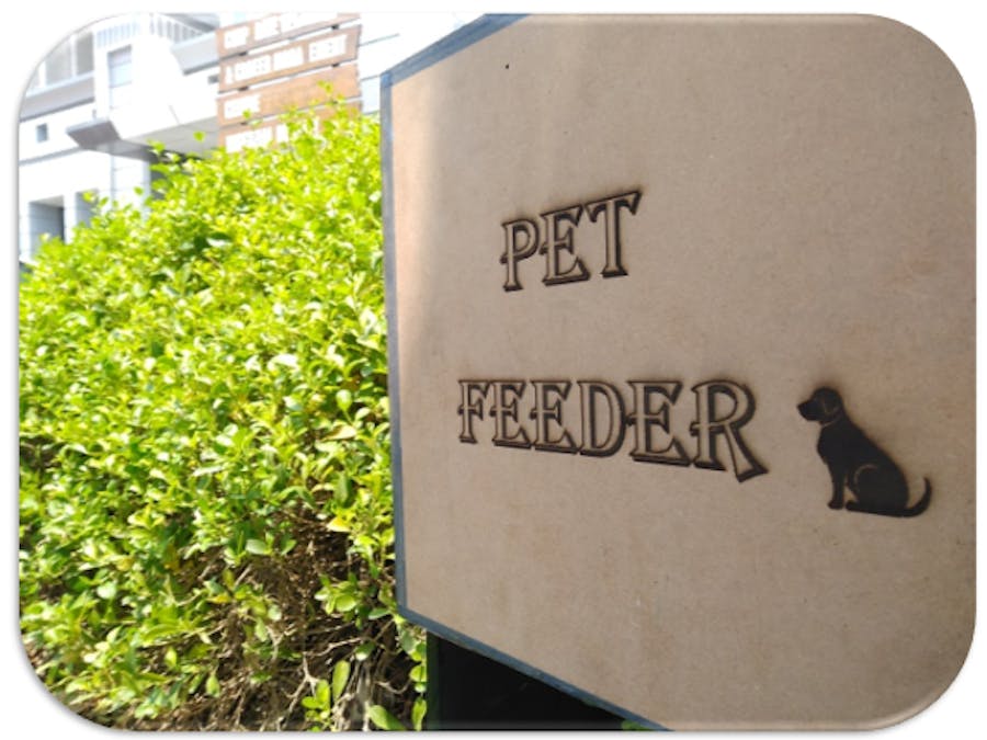 Pet Feeder