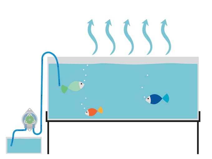 DIY Aquarium Evaporation Top Off System Arduino Project Hub