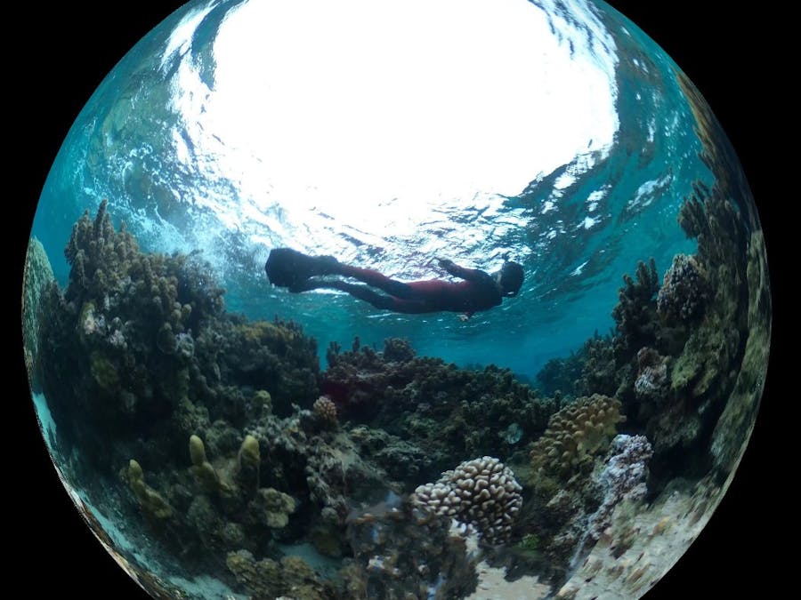 RICOH THETA SCUBA Plug-in