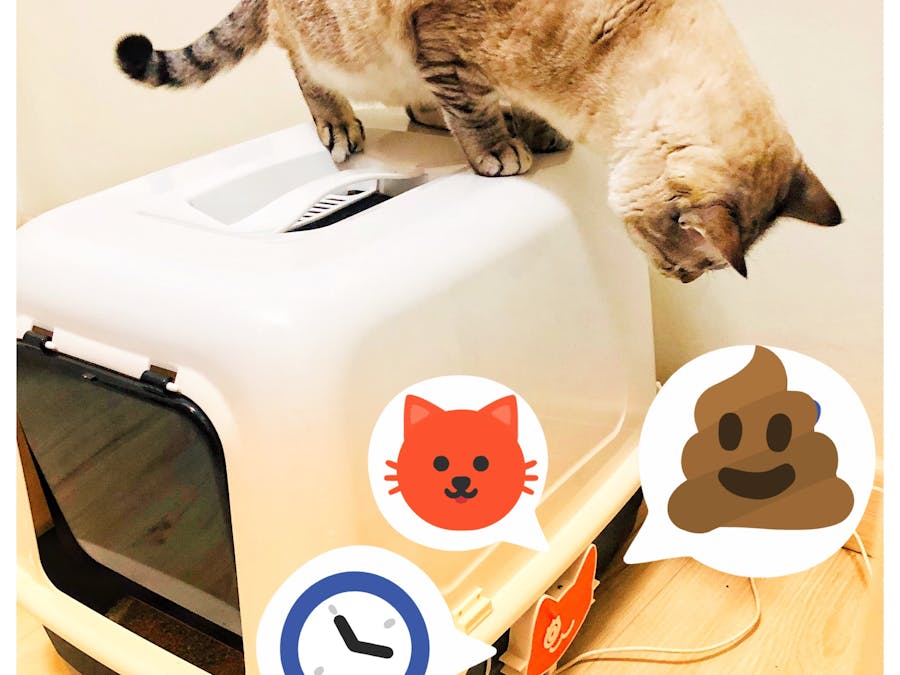 IoT Cat Litter Box (with ESP32, Arduino IDE and ThingSpeak)