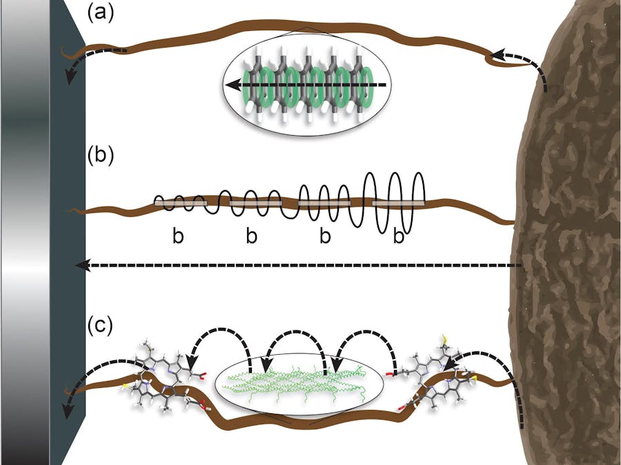 Electron transfer between Geobacter and Methanothrix