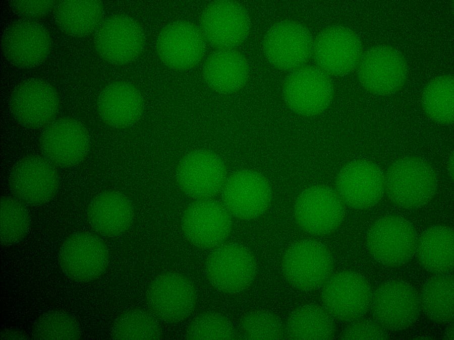 CtoD: From Cells to Droplets