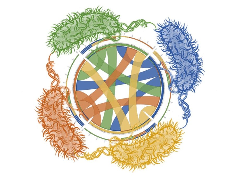 A Toolkit for Engineering Microbial Interactions