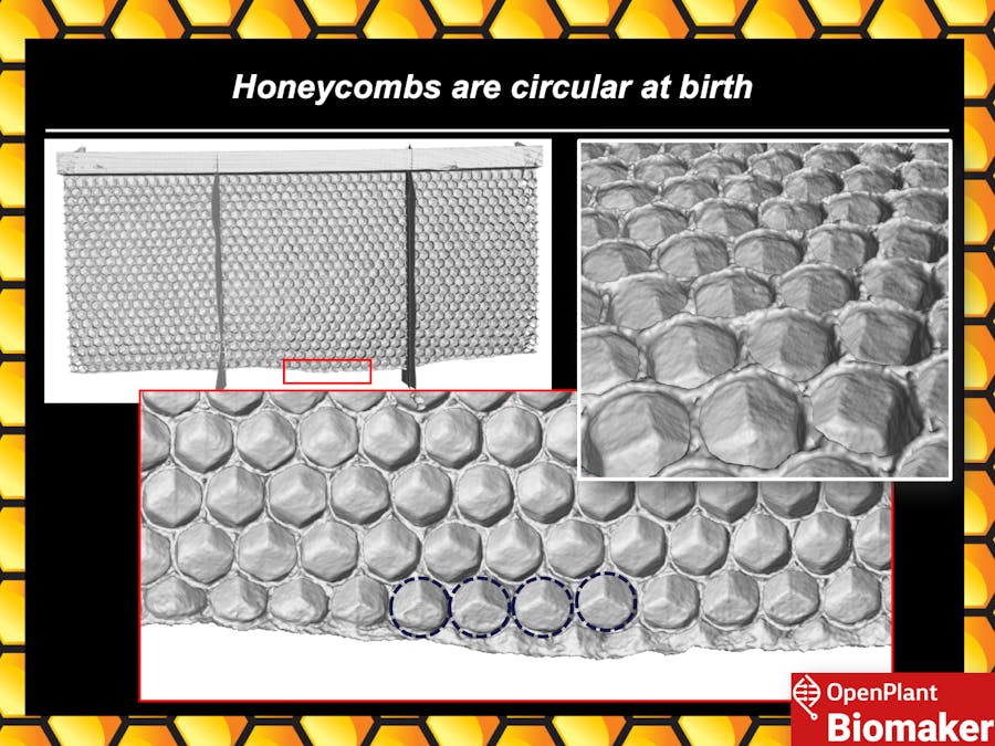 Visualising the Honeycomb Conjecture