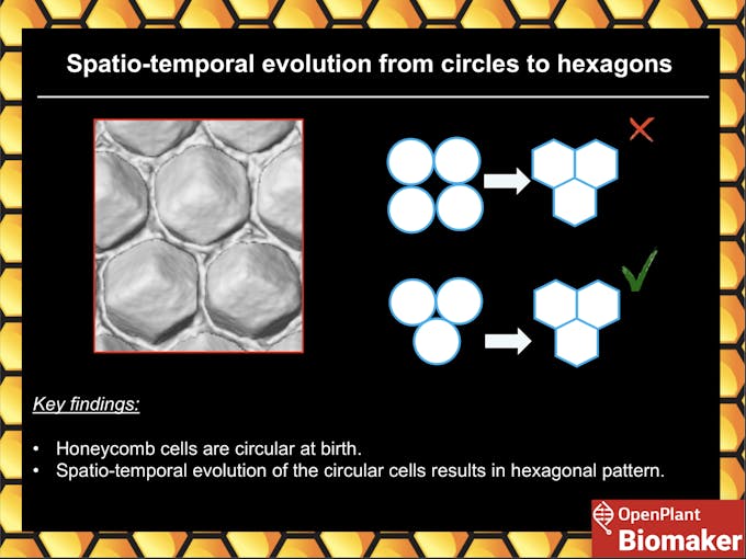 Visualising the Conjecture Arduino Project Hub