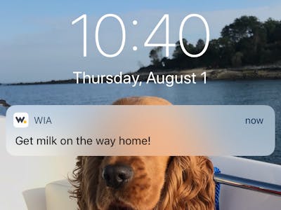 How to Make Custom Wia Notification