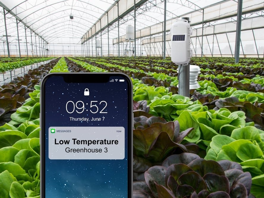 Temperature Monitoring System on Plants