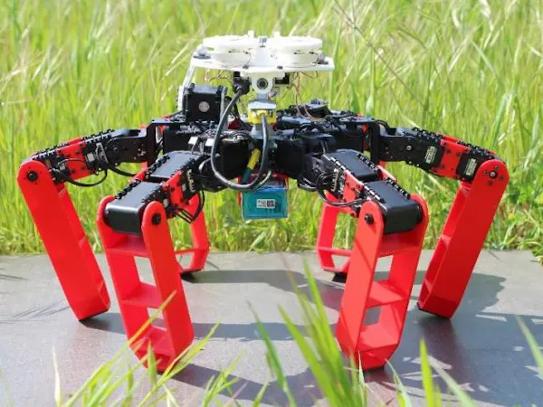 Antbot Label AntBot Demonstrates Amazing Navigation Ability, No GPS Required ...