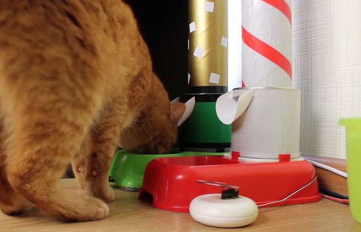 play with a cat in real time using the beaglebone black hackster io play with a cat in real time using the beaglebone black hackster io