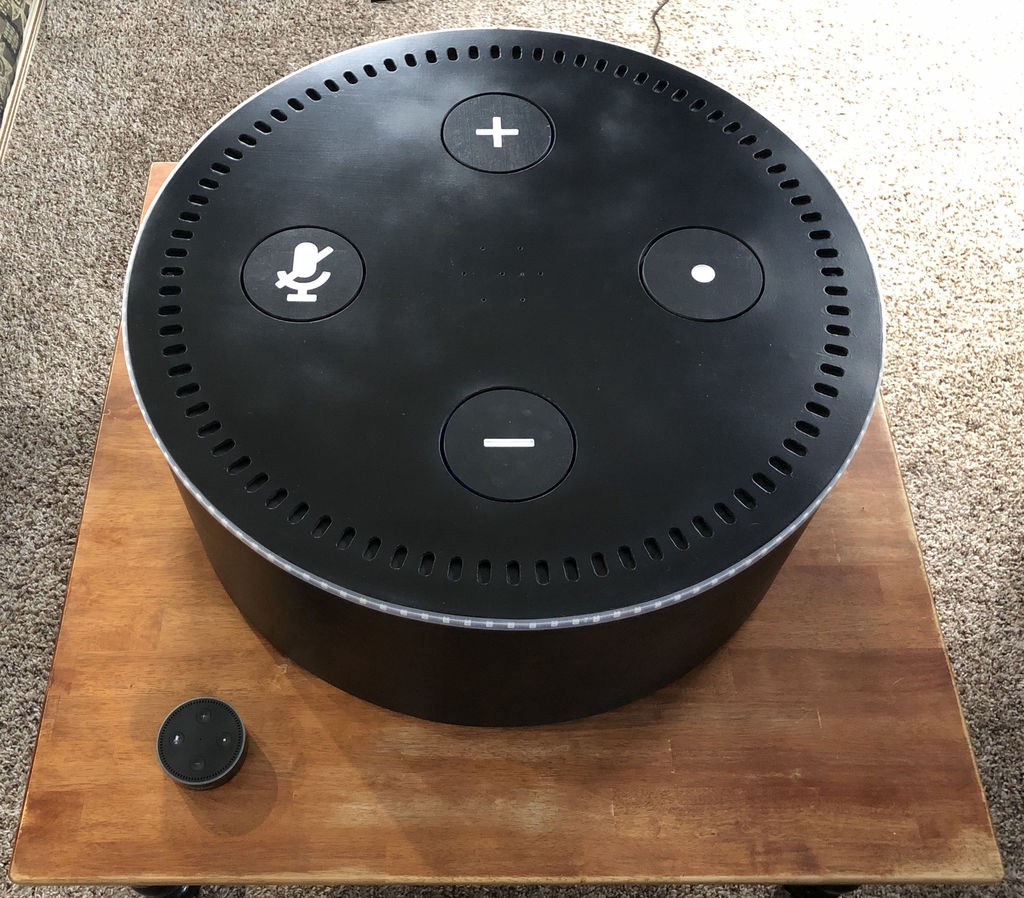 echo dot bass