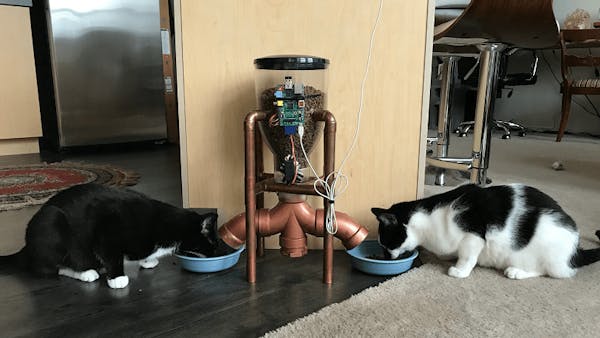 Building a Steampunk Cat Feeder with a Gmail Triggered Raspberry