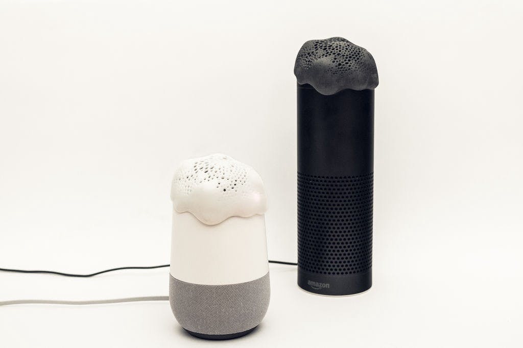 Goodbye privacy, hello 'Alexa': Echo, the home robot who,  alexa 