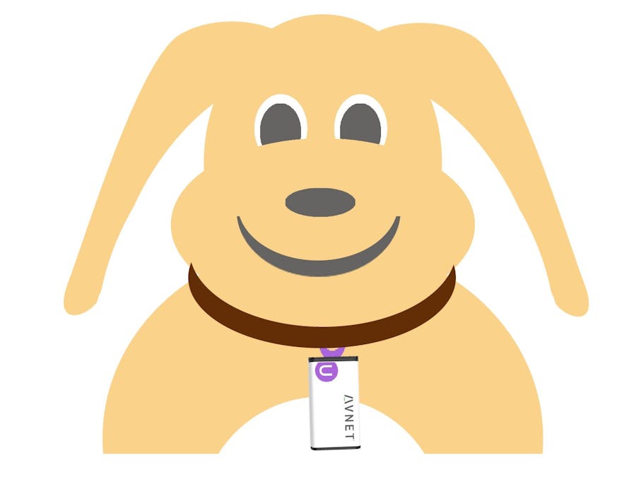 AI Driven PET Monitor