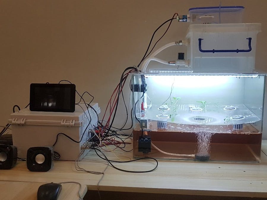Green Box: Fully Automated at Home Hydroponics System