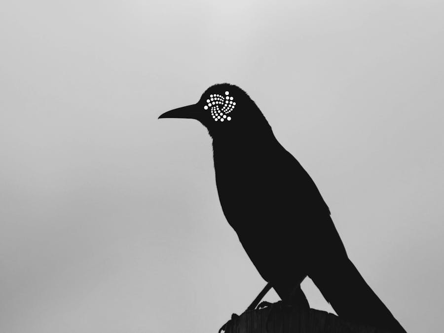 CRowdsourced Open Weather System (CROWS)