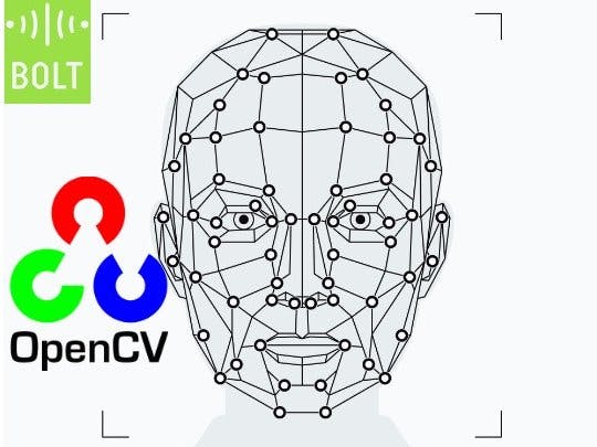 HOME IoT: Real-Time Liveness Based Face Recognition