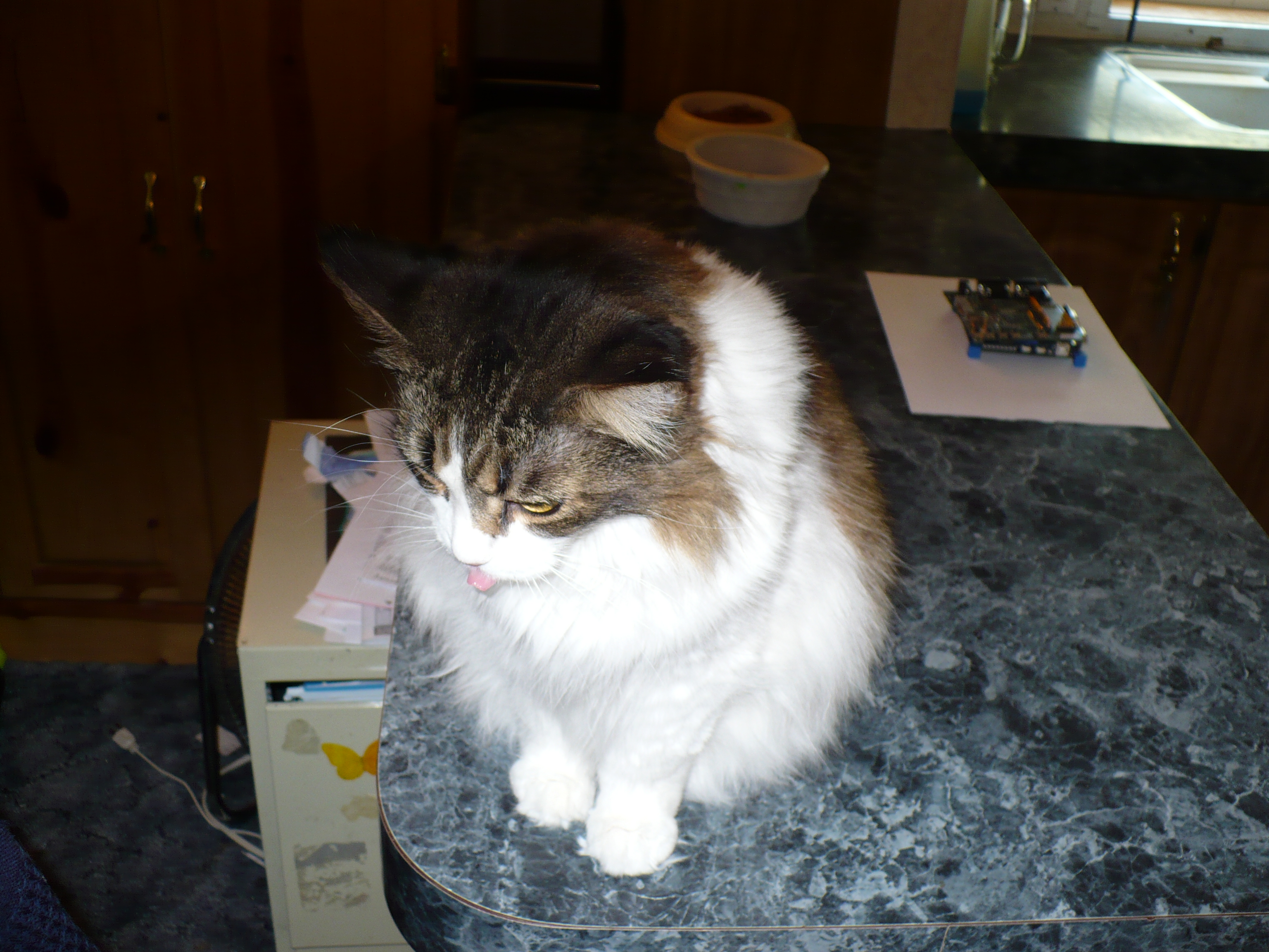 Funtoo Linux for Beaglebone AI and Beagleboard X15