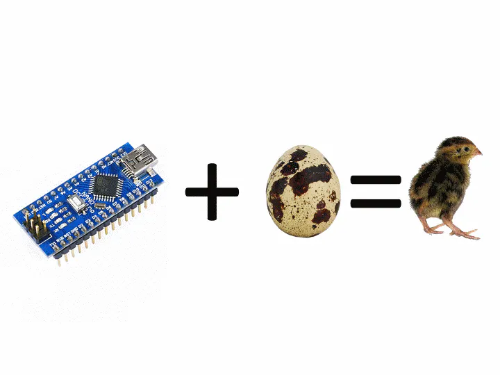 Diy Quail Hatching Machine Hackster Io