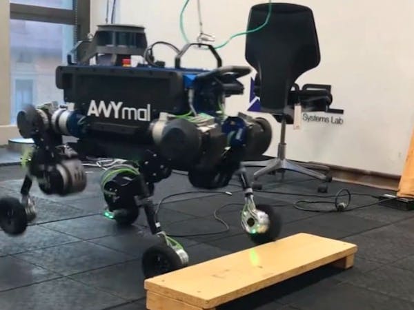 Anymal Quadrupedal Robot Gets Equipped With Wheels For Hybrid Anymal Quadrupedal Robot Gets Equipped With Wheels For Hybrid